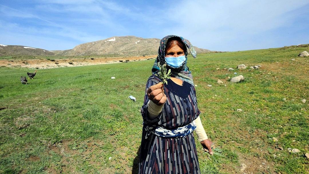 قشقایی‌ها